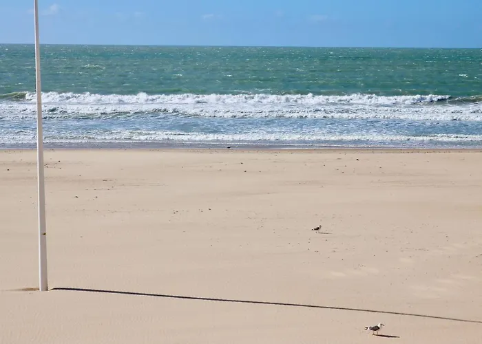 Aranpe Playa Cadiz